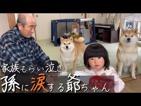 孫に会うと必ず泣かれた爺ちゃん。柴犬が見守る中、長かった1年に涙