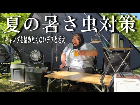【夏キャンプ5周目】プロのデブが老犬連れで快適に過ごす方法【EcoFlow DELTA2】
