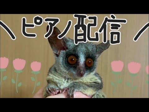 ピアノ配信👨🏻‍🍳クラシック曲のみです