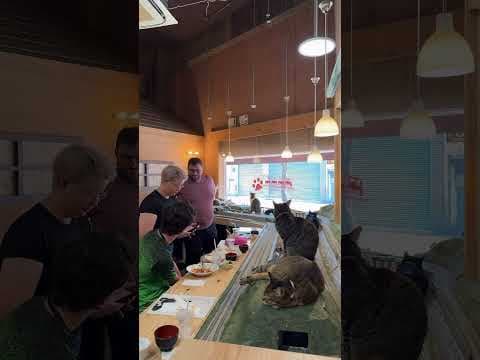 Memorial Japan.diorama restaurant.#shorts