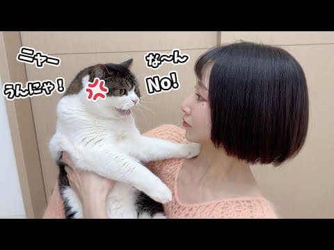 髪の毛を短くして帰ってきたら猫の文句が止まらなくなりました…涙