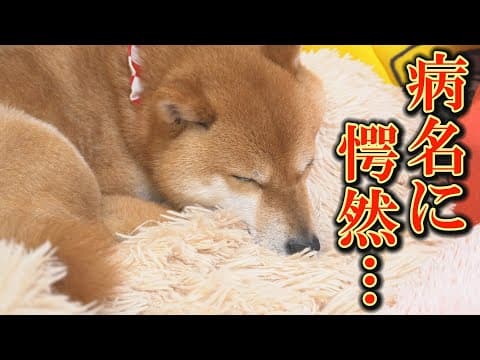 通院前夜に急変・・・ショッキングな病名を告げられました・・・