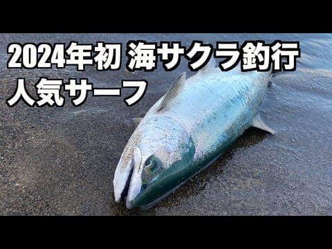 人がいないサーフで海サクラを釣る方法
