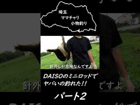 DAISOのミニロッドでヤバいの釣れた パート2#大物釣り  #釣り #スッポン釣り  #鯉釣り #fishing