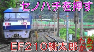 【難所セノハチ運用！EF210-300番台】福山レールエクスプレス 押し太郎 桃太郎