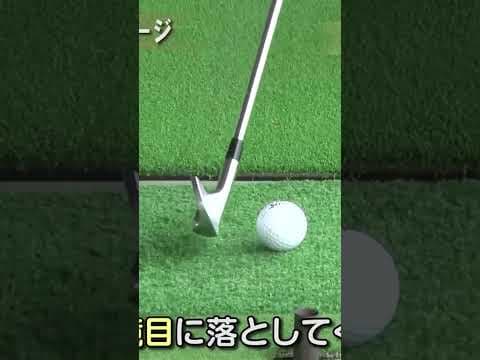 プロのダウンスイングのイメージ #稲見萌寧 ゴルフ #ゴルフスイング #golf #ゴルフレッスン