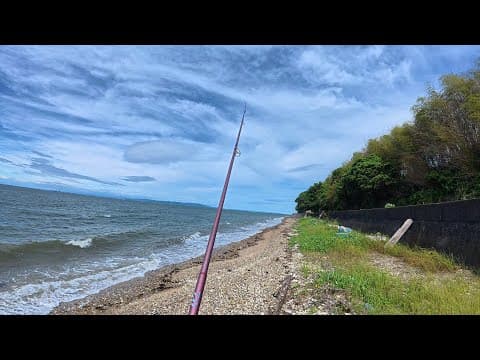 仕掛けが吹き流しになるくらいの強風と激濁りで絶望的でも鱚を釣る！そして最高のキス天丼で乾杯♪