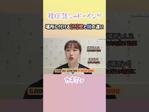 場所に付ける(으)로と에の違い #韓国語講座 #韓国人