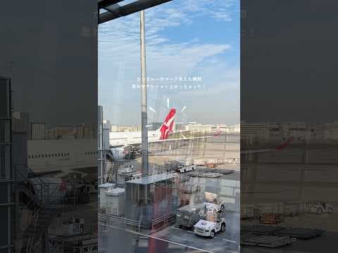 【シドニー旅行】カンタス航空の機内食＆サービスがエコノミークラスなのに神レベルだった・・・