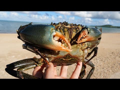 巨大ガザミをチャーハンにしたらうますぎたwwww