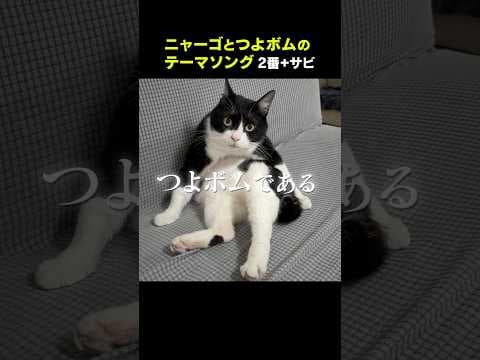 テーマソング『世界征服』ショートver.②