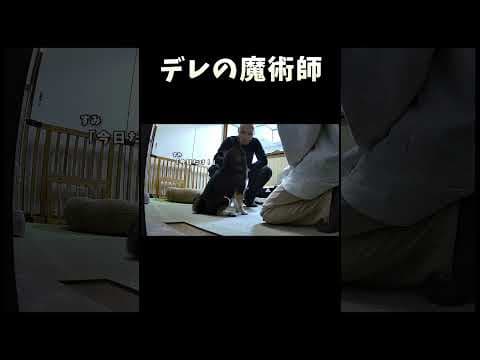 デレの魔術師