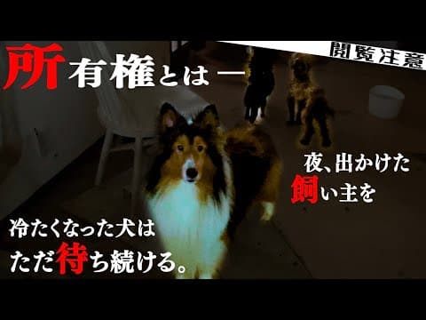 【再び夜逃げ】閲覧注意！ショッキングな映像有。最期まで見届けてほしいです。