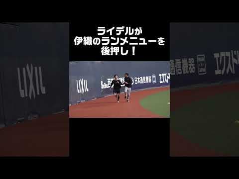 ライデルが伊織のランメニューを後押し！ #shorts