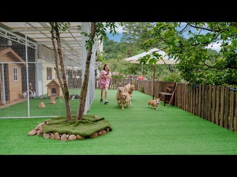 森の中にある犬猫34匹の家ってどんな家？ルームツアーでご紹介！