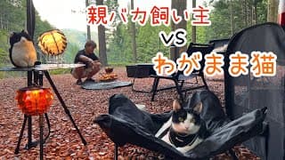 どうしても飼い主について行きたい猫！わがままで大変だけどそれが可愛い♪【ソロキャンプ】