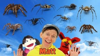 Spiders | What Do You See? Song  | Find It Version | Dream English Kids