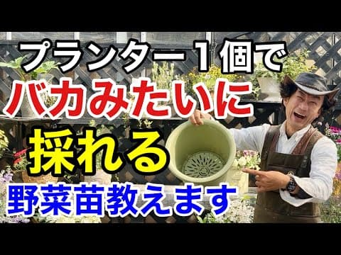 だまされるな！実は本当にプランターで育つ野菜はコレだけです　　【カーメン君】【園芸】【ガーデニング】【初心者】