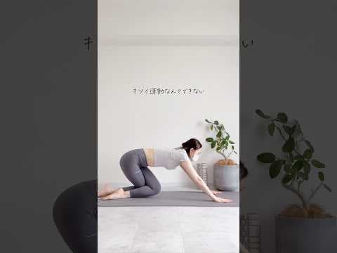 たった10回下っ腹凹む #宅トレ #お腹痩せ #ダイエット
