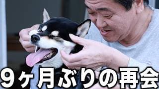 【瞬間映像】犬の反応が感動すぎる...能登半島地震でバラバラになった家族の再会の瞬間に密着！