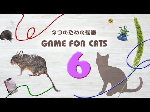 【猫用動画MIX６】ひも・ねずみなど30分 GAME FOR CATS 6