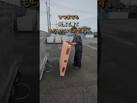 4歳になっても落ち着かず。いつも一緒に行動してくれる大切な愛娘#ゴールデンレトリバー子犬 #大型犬のいる生活