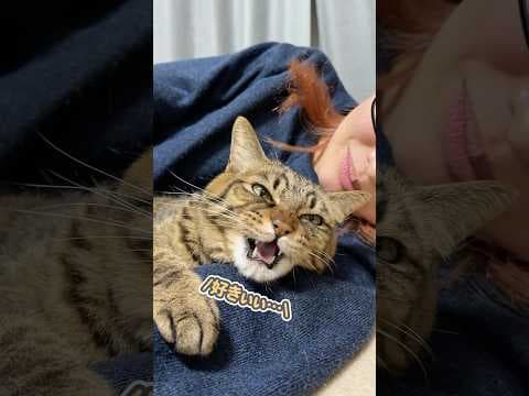 「大好きなのぉ…」とママの腕にギュッとしがみつく、甘えん坊な猫