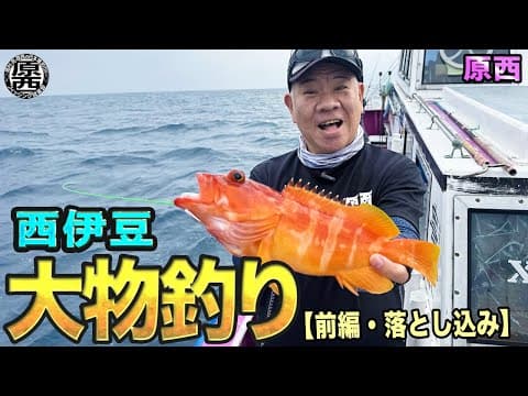 原西の西伊豆【大物釣り】(前編・落とし込み)