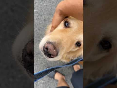 アムロがさみしそう
