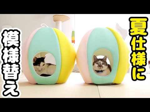 【模様替え】夏用のひんやり猫グッズを出したら‥使い方が独特すぎたｗ