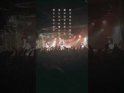 「コインランドリー/きゃない」ライブ映像バンドver.