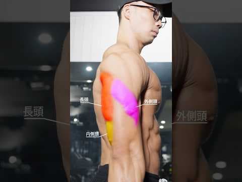 上腕三頭筋を最大限鍛える方法【筋トレ】