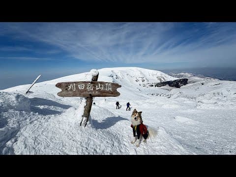 【山形で氷瀑と樹氷とBC】そこは想像もしなかった７年後の世界が待っていた！
