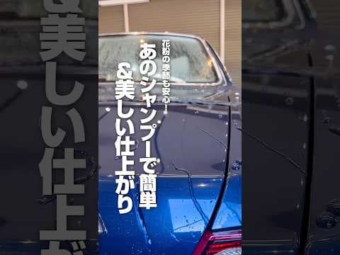 【花粉の季節も安心！あのシャンプーで簡単＆美しい仕上がり】#ながら洗車 #洗車 #車好き #花粉 #スノーシャンプー #グリーンアシッドバブル #スノーメンブラック #ショート #shorts