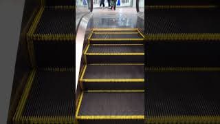 【世界一短いエスカレーター】 川崎　プチカレーター　[The shortest escalator in the world] Kawasaki. Petit Calator