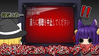 【ゆっくり実況】絶対に見てはいけないテレビ番組！？深夜のテレビに異常な番組が放送されてないか監視するゲームが恐ろしい！！【PSA】【たくっち】