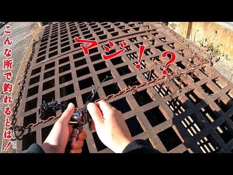 【衝撃】住宅街の道路脇の側溝で想定外の魚が入れ食いしました