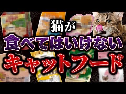 【プロはココを見る】キャットフードの○○は絶対に見てください！！