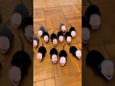 教室内を元気に走り回る小動物の可愛らしい姿に心を癒された
