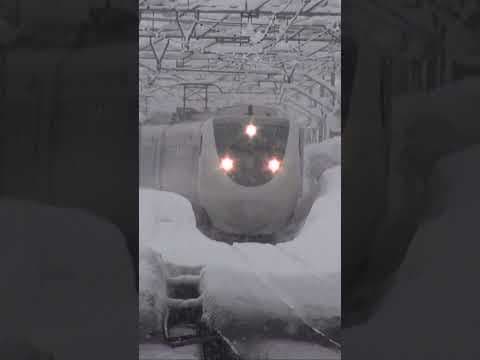 大雪警笛一発！特急はくたか 六日町  #はくたか  #特急 #shorts  #鉄道