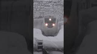 大雪警笛一発！特急はくたか 六日町  #はくたか  #特急 #shorts  #鉄道