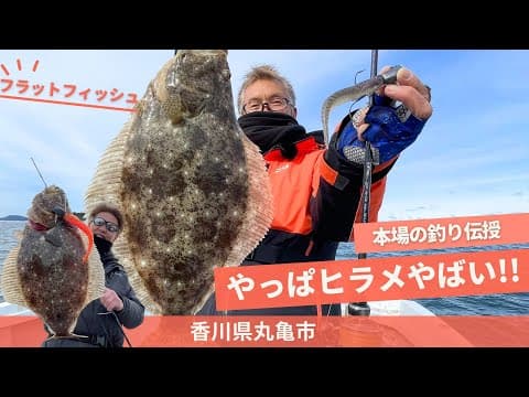 やっぱヒラメやばい！in香川県【フィッシングトリップ】