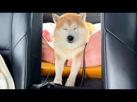 後ろの席に休憩時間中のスーパーマンがいた。