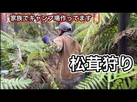【家族でキャンプ場作ってます】 初めての松茸狩り！見つけられるのか？