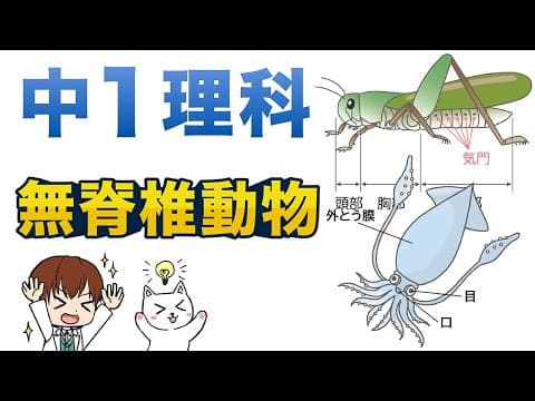 【中１理科】無脊椎動物のなかま【生物動画11】