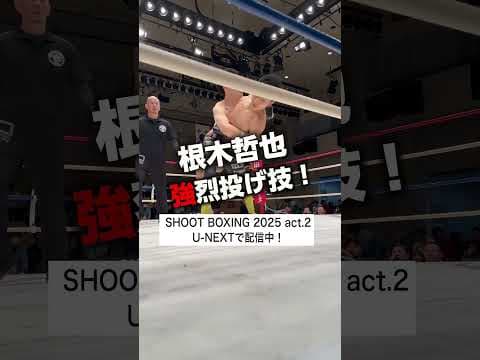 オープニングアクトで激戦？！ #格闘技 #シュートボクシング#shootboxing