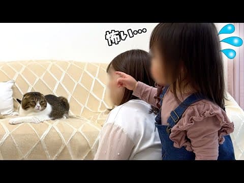 猫が怖くてママに隠れちゃう女の子にパパ猫のとった行動が尊すぎた！