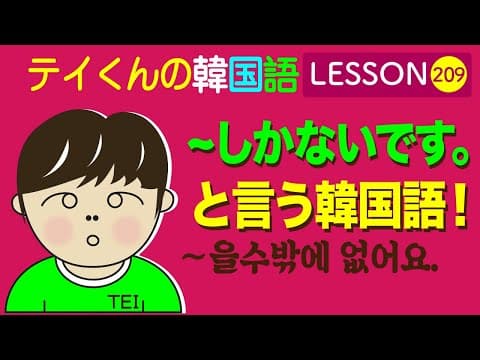 韓国語Lesson_209 (~しかないです。/ 〜수밖에 없어요.)と言う韓国語！