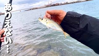 冬の河川に生きたアジを泳がせると…衝撃の怪物釣れた