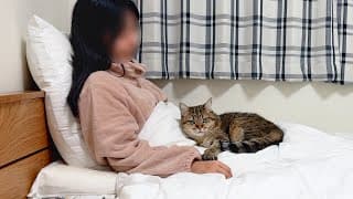 猫を甘やかして育てたら…寝る時も離れなくなりました！